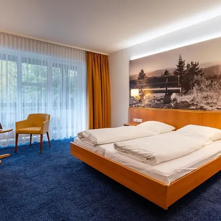 Hotel-gasthof Huettensteinach 酒店