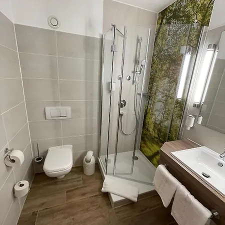 酒店 Hotel-gasthof Huettensteinach 松讷贝格